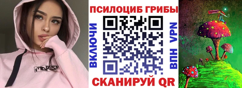 где купить наркоту  нарко площадка официальный сайт  Галлюциногенные грибы GOLDEN TEACHER  Иваново 